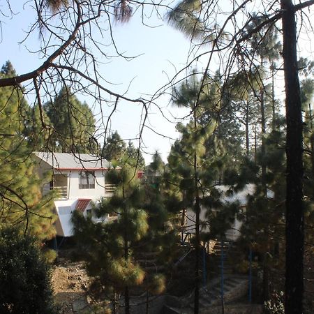 Ghughuti Resort Lansdowne ランズドーン エクステリア 写真